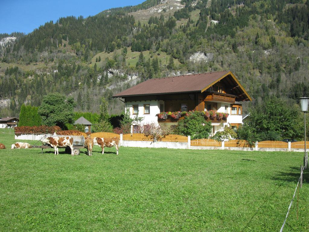 Haus Schoenegger Дорфгаштайн Экстерьер фото